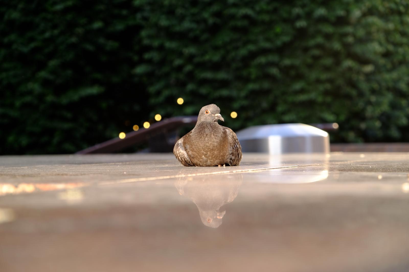 Canary-Wharf-Mindful-Photo-Lab-by-Michelle